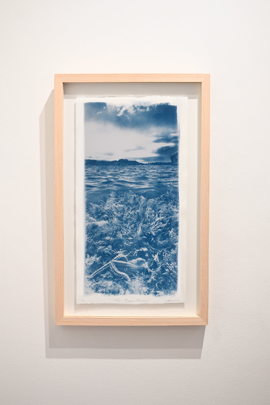 "Fossil Beach Rockpool"