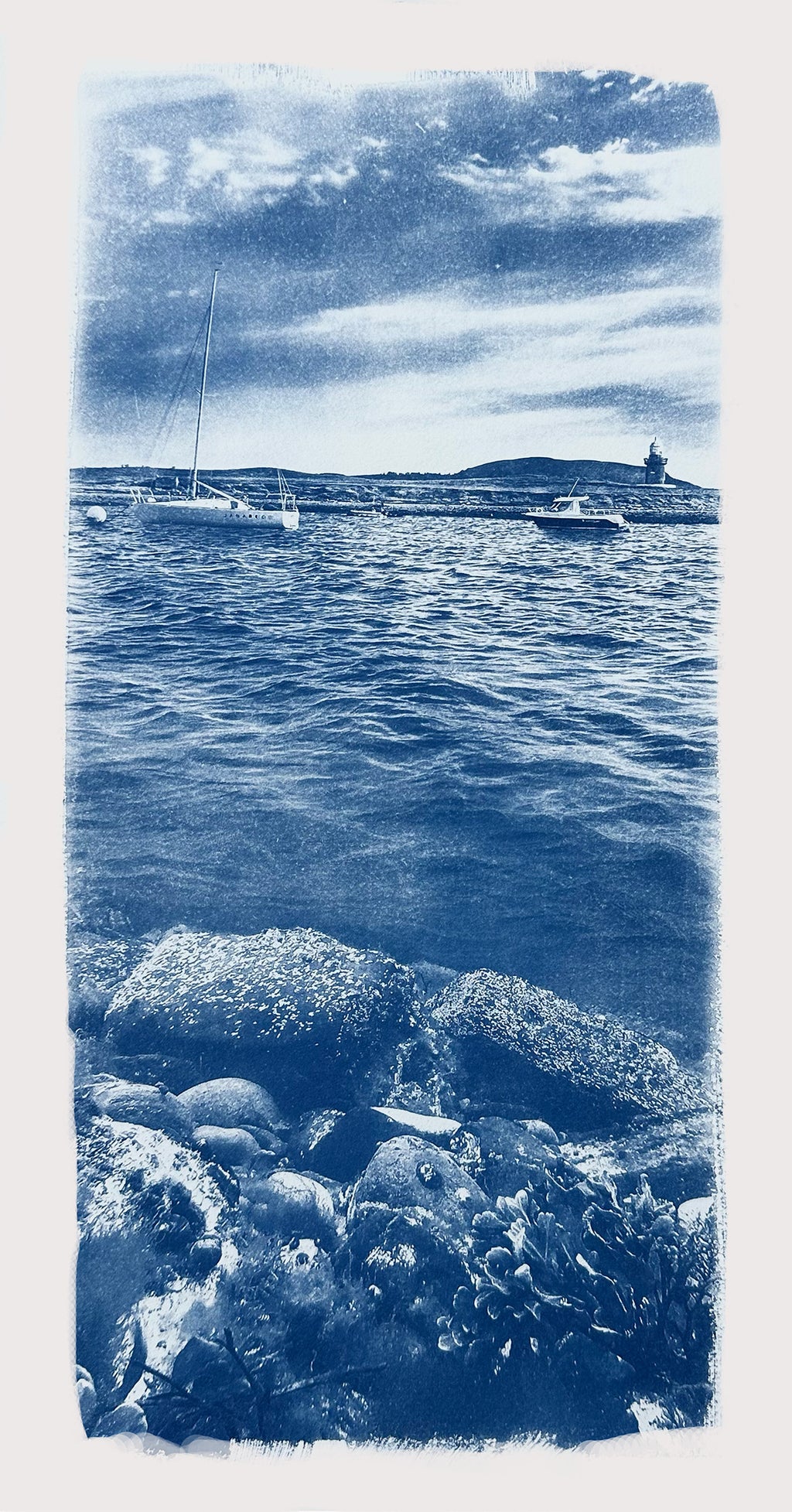 "Oyster Island"