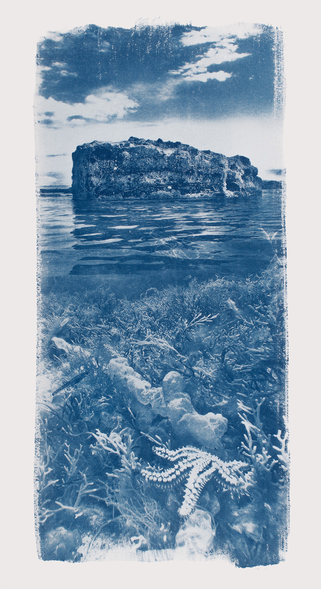 "Teeming with Life"