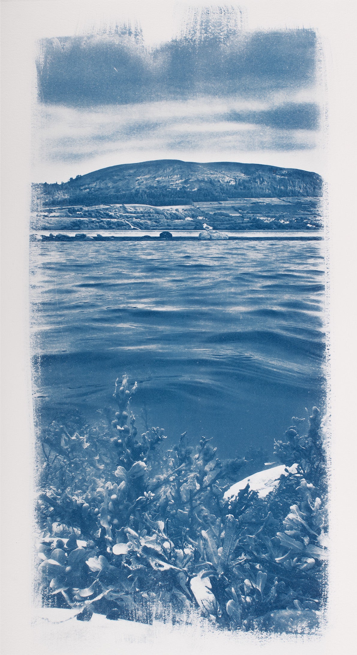 "knocknarea, En Route to Coney"