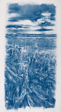 "The Lungs of the Sea"