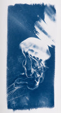 Small Cyanotypes