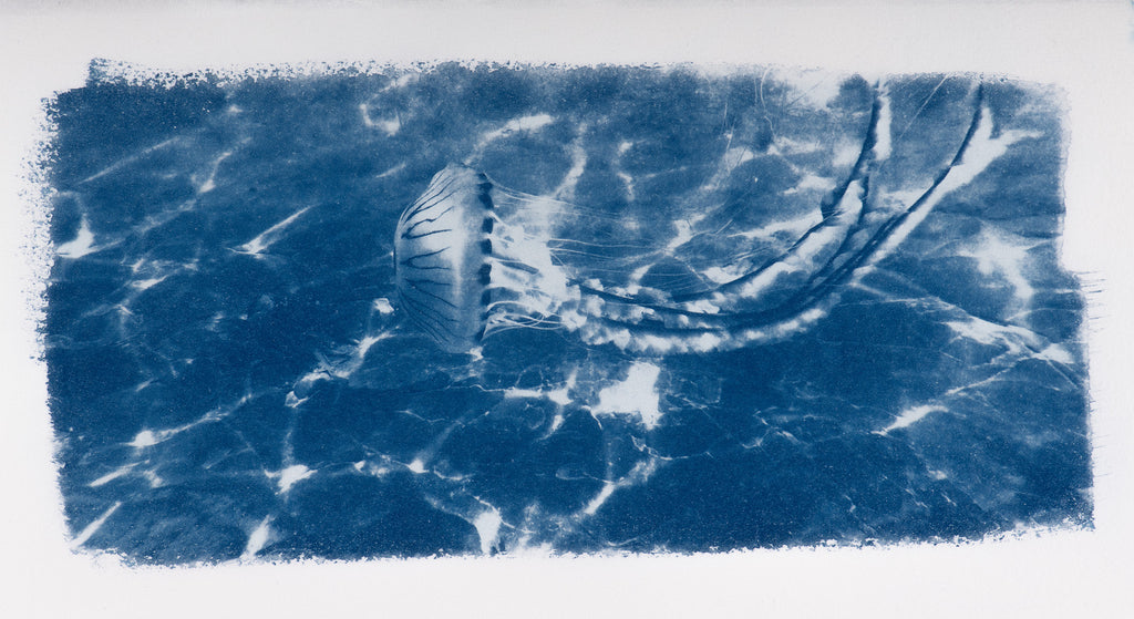 Small Cyanotypes