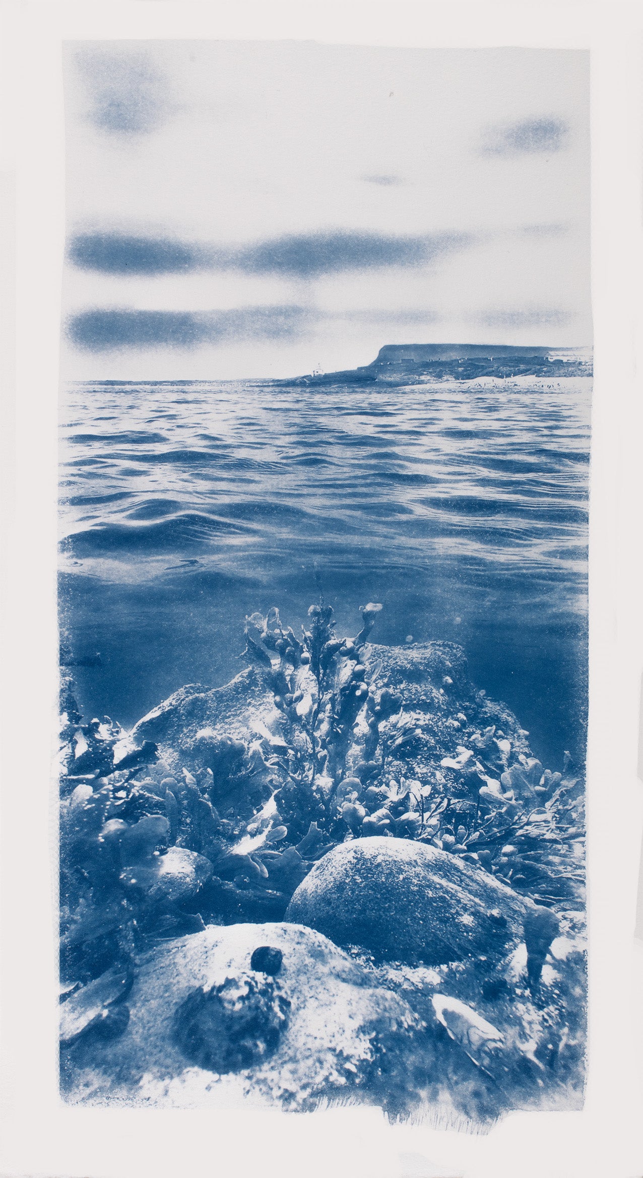 "Benny from the Pier"