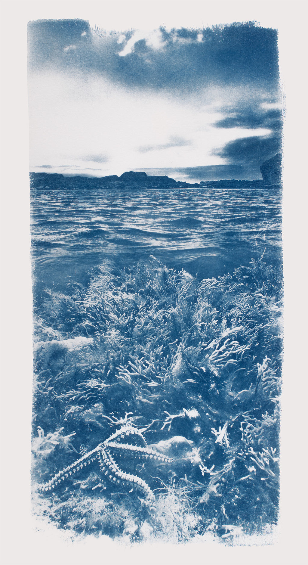 "Fossil Beach Rockpool"