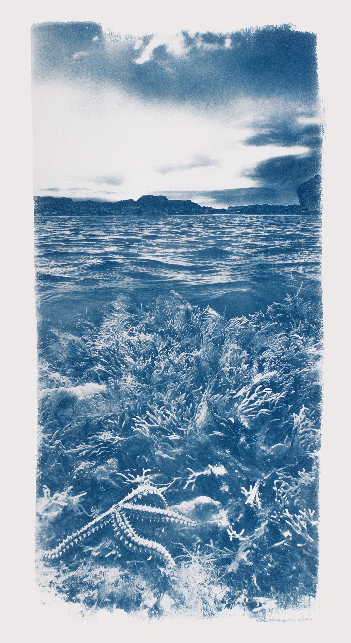 "Fossil Beach Rockpool"