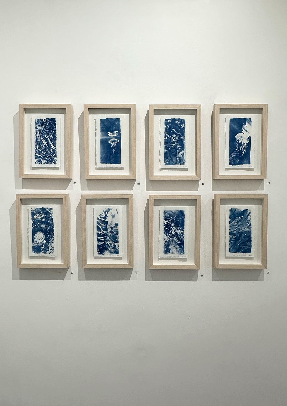 Small Cyanotypes