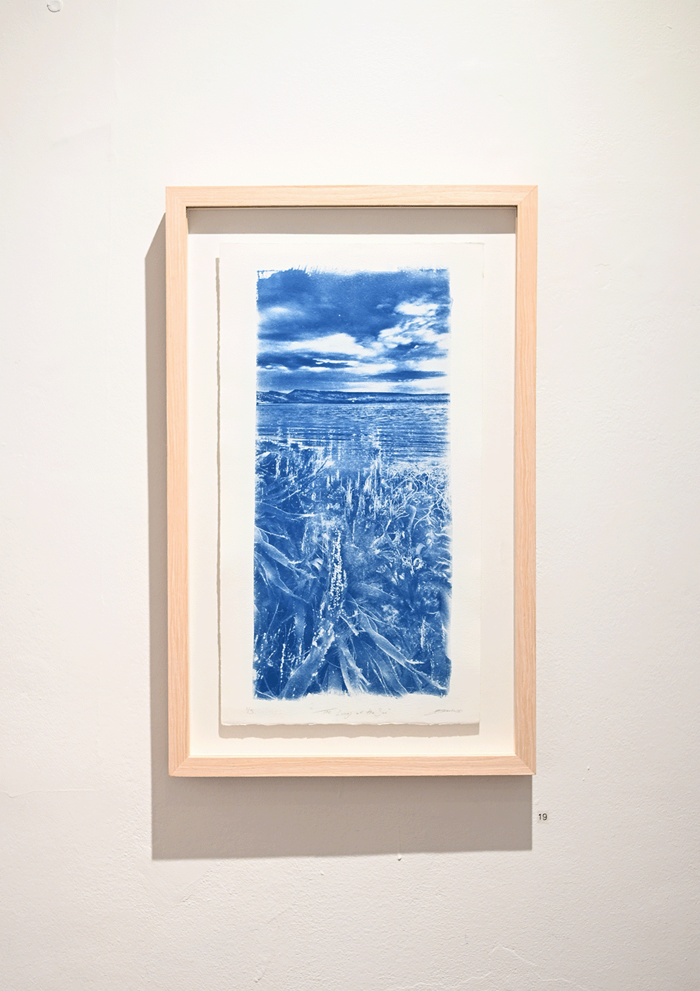 "The Lungs of the Sea"
